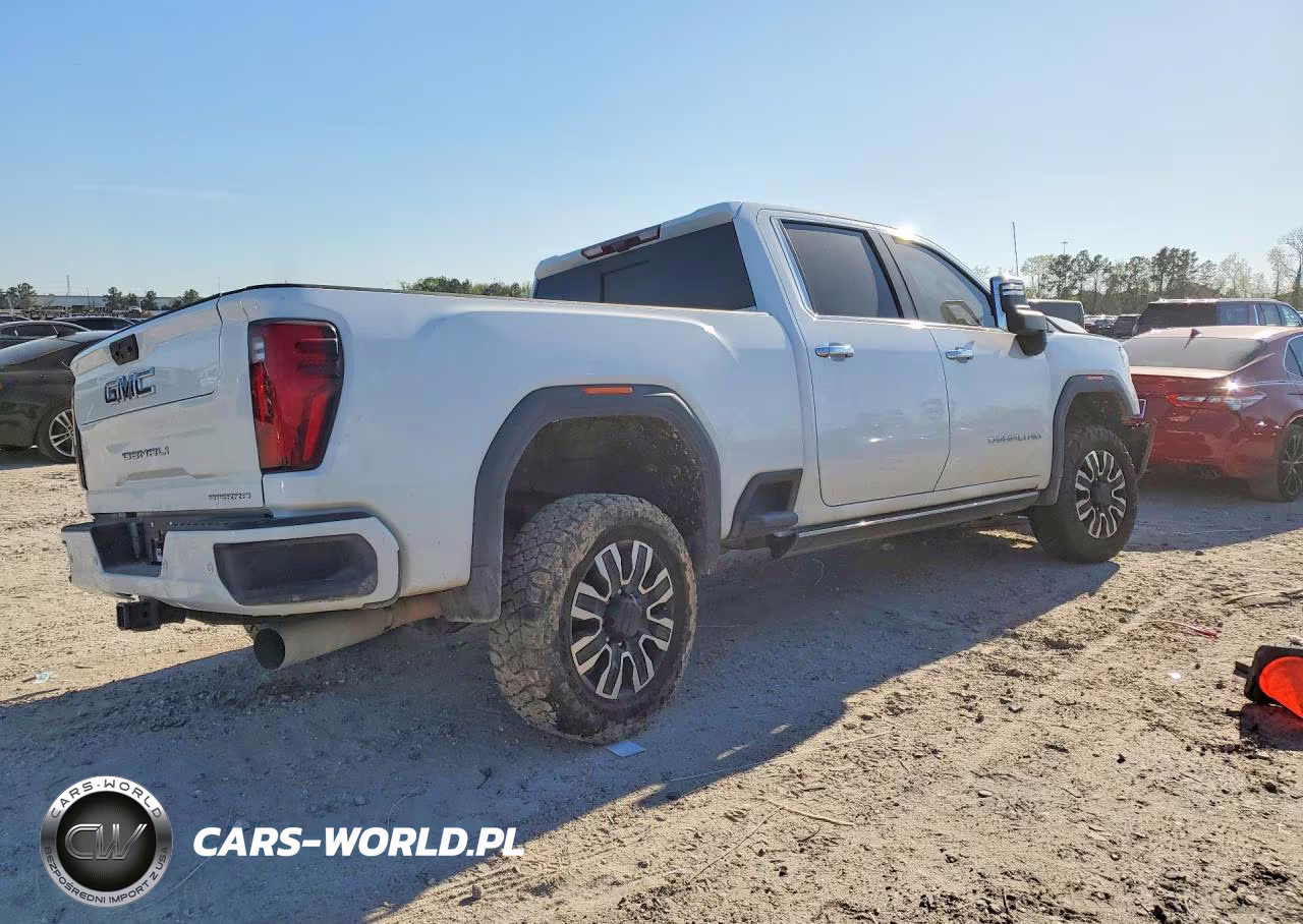 2024 GMC Sierra K2500 Denali Ultimate VIN:1GT49XEY5RF219805 - 3