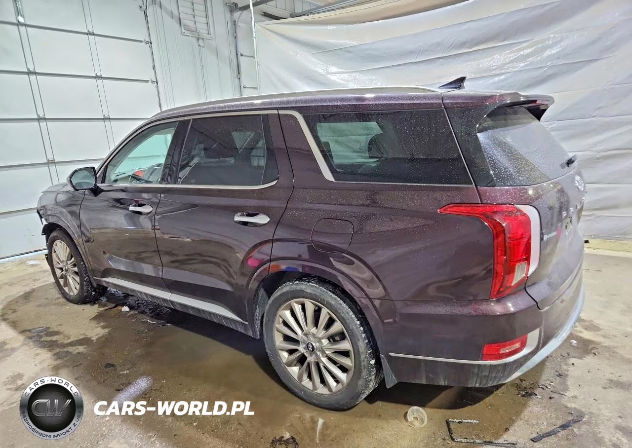 2020 Hyundai Palisade Limited VIN:KM8R5DHE1LU148280 - 2