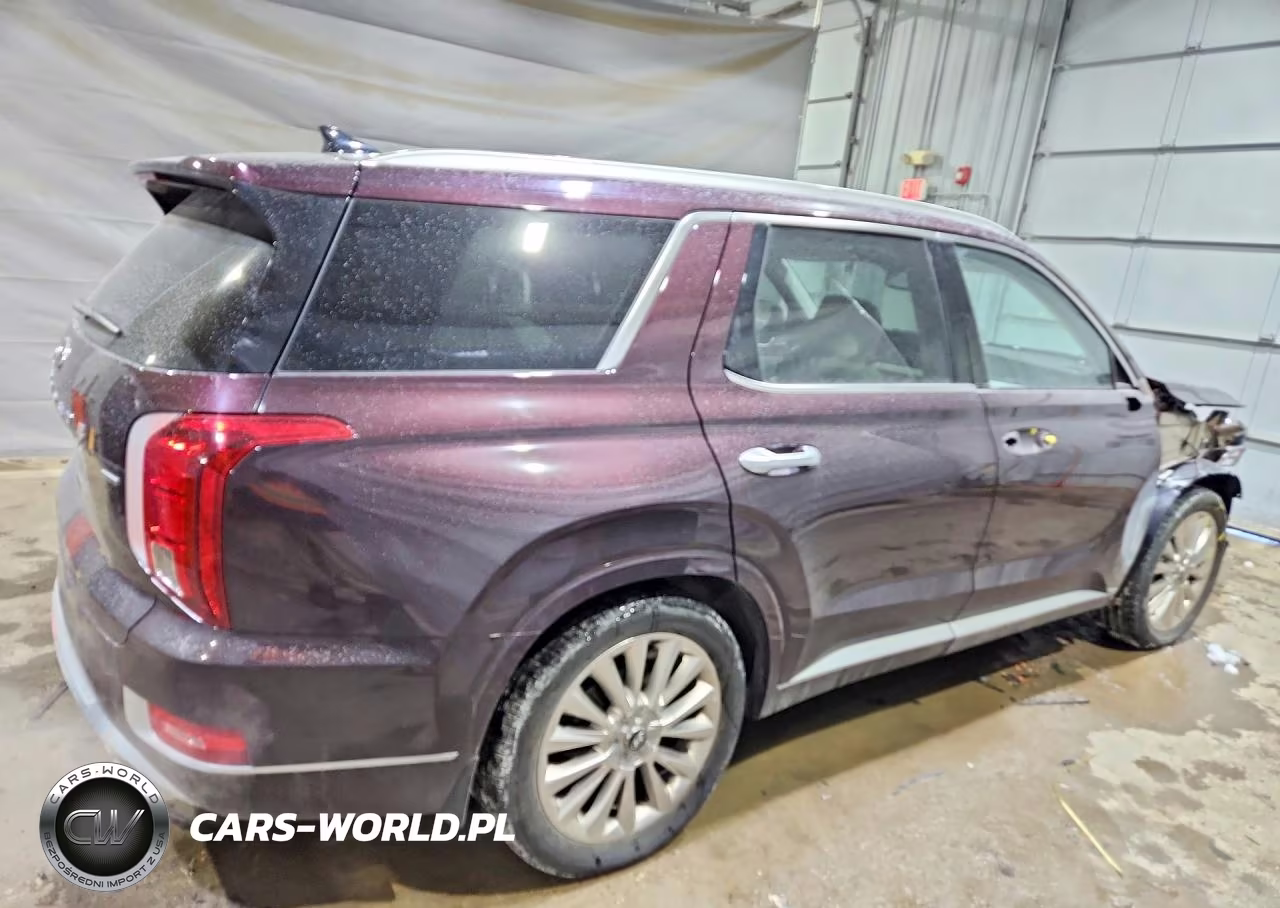 2020 Hyundai Palisade Limited VIN:KM8R5DHE1LU148280 - 3