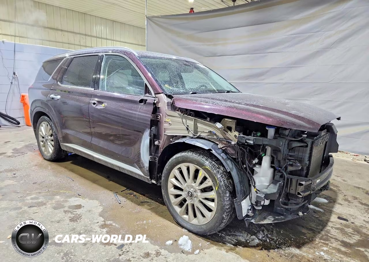 2020 Hyundai Palisade Limited VIN:KM8R5DHE1LU148280 - 4