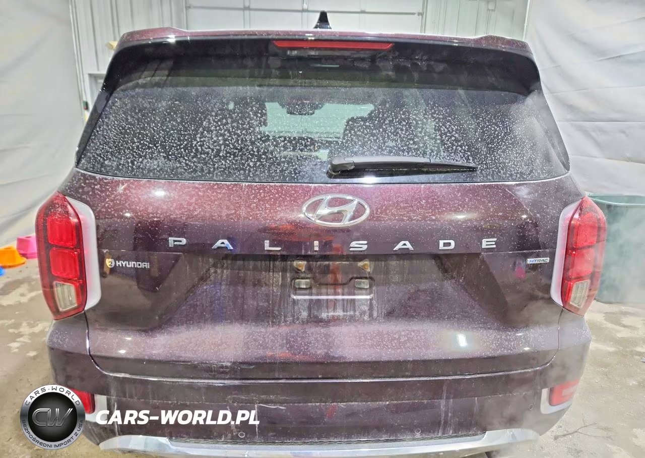 2020 Hyundai Palisade Limited VIN:KM8R5DHE1LU148280 - 6