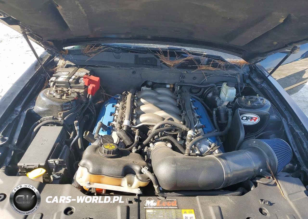 2013 Ford Mustang Gt VIN:1ZVBP8CF1D5205920 - 11