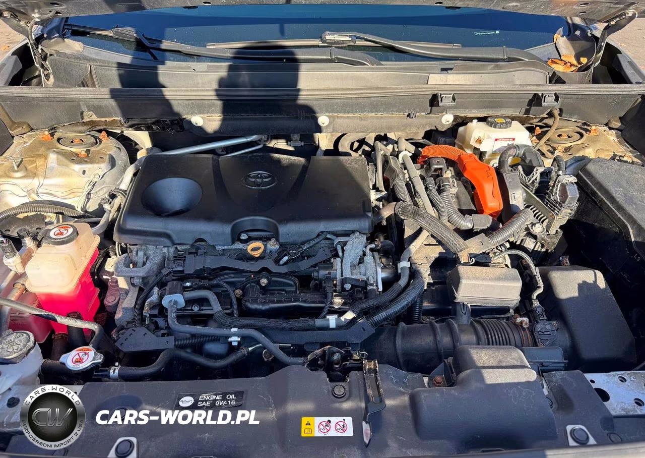 2019 Toyota Rav4 Le VIN:2T3LWRFVXKW012674 - 11