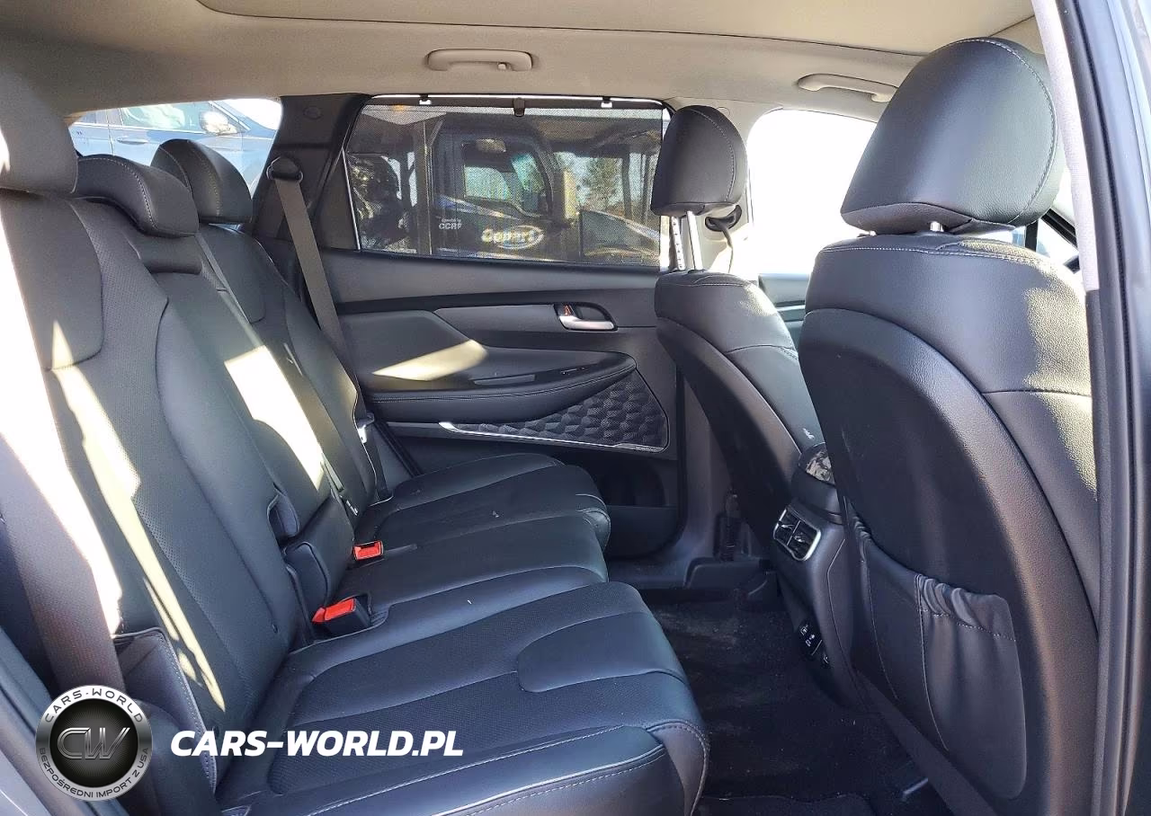 2023 Hyundai Santa Fe Limited VIN:5NMS44AL5PH632547 - 11