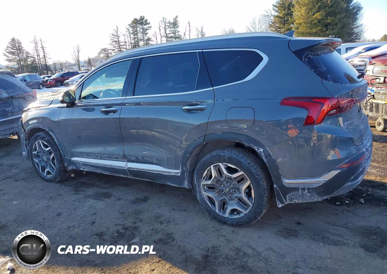 2023 Hyundai Santa Fe Limited VIN:5NMS44AL5PH632547 - 2