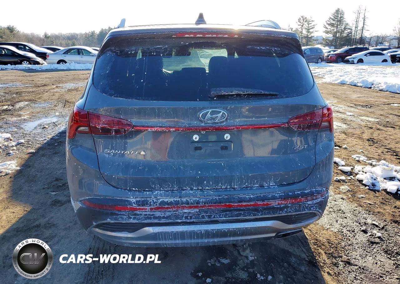 2023 Hyundai Santa Fe Limited VIN:5NMS44AL5PH632547 - 6