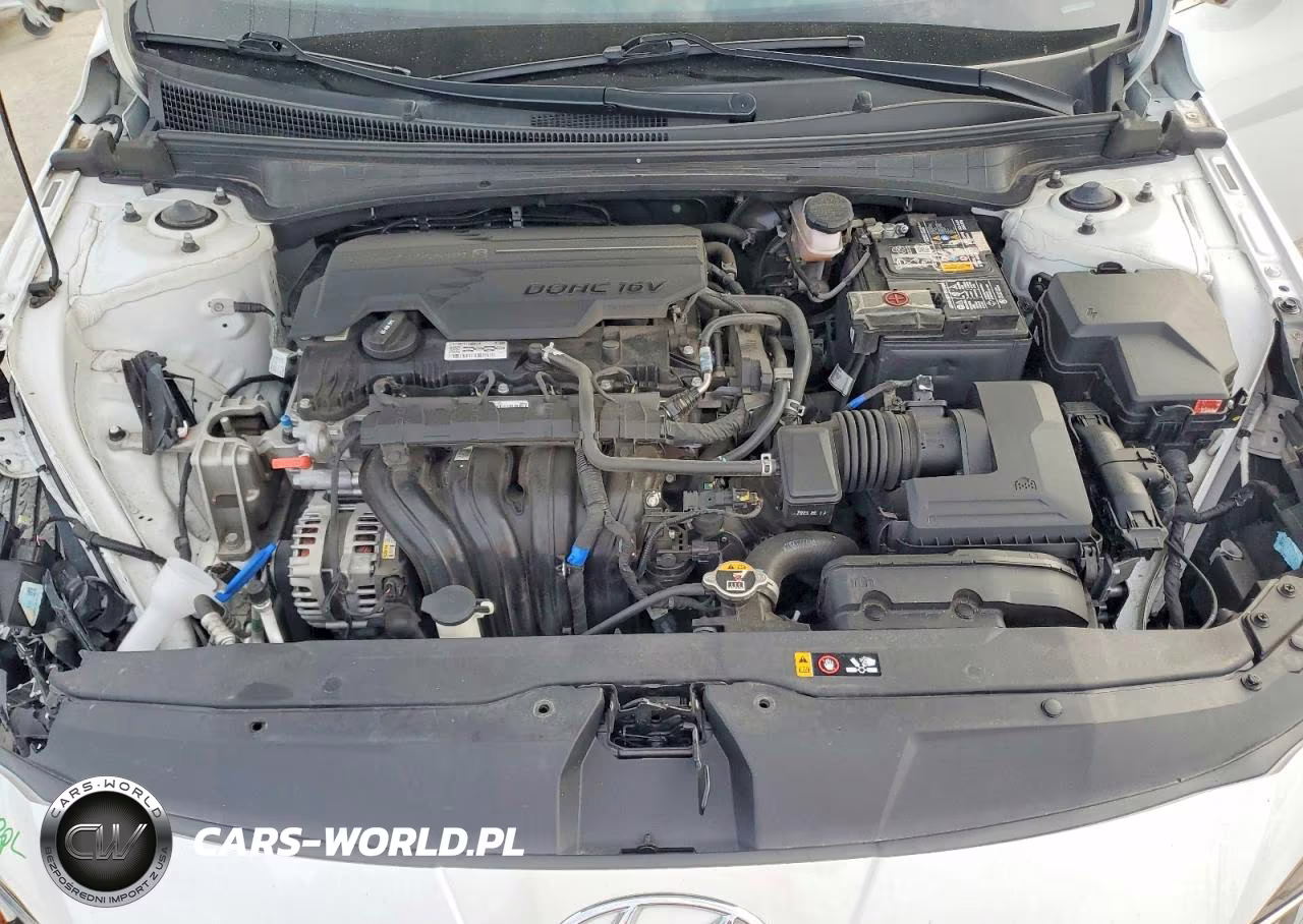 2023 Hyundai Elantra Limited VIN:5NPLP4AG4PH119467 - 11