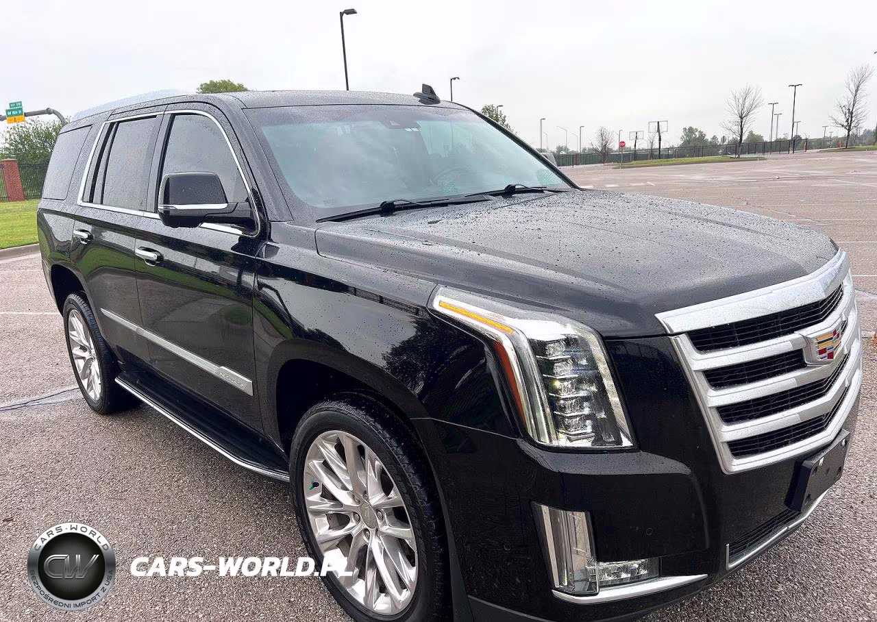 2019 Cadillac Escalade Luxury VIN:1GYS4BKJ6KR197473 - 1