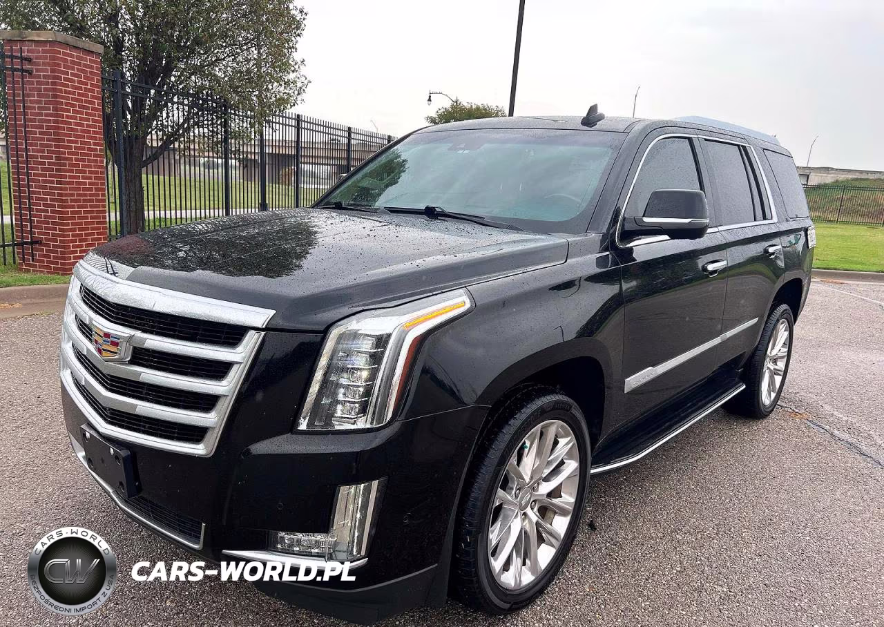 2019 Cadillac Escalade Luxury VIN:1GYS4BKJ6KR197473 - 2