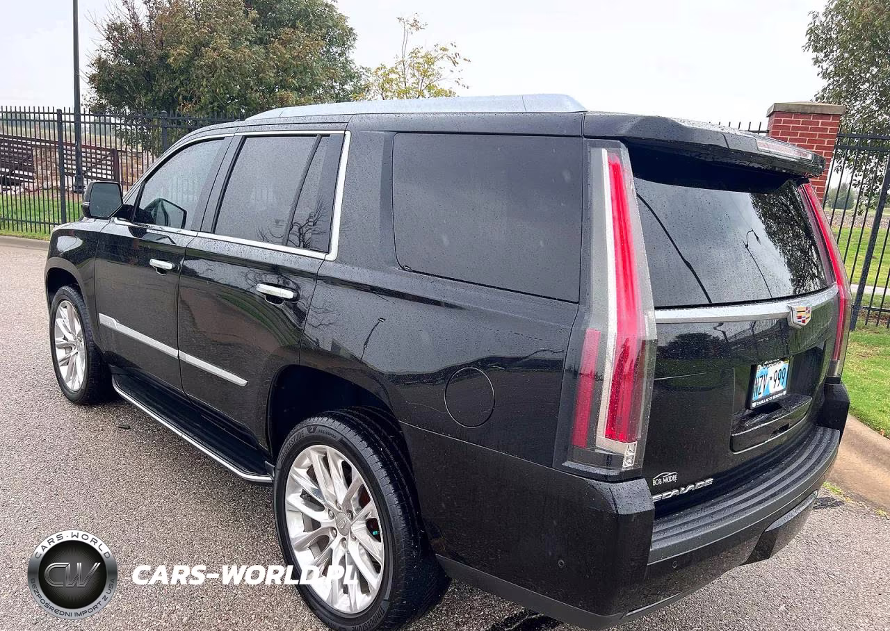 2019 Cadillac Escalade Luxury VIN:1GYS4BKJ6KR197473 - 3