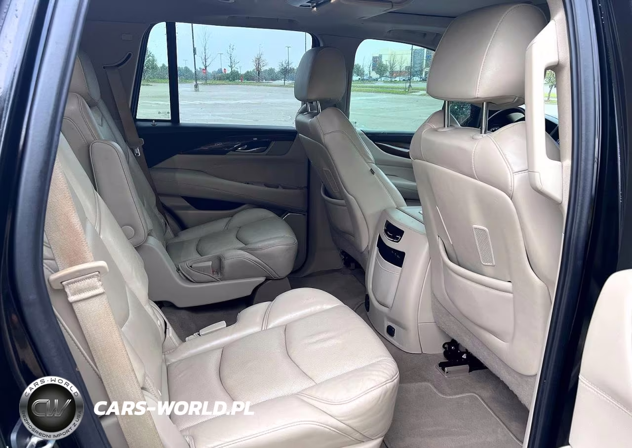 2019 Cadillac Escalade Luxury VIN:1GYS4BKJ6KR197473 - 6