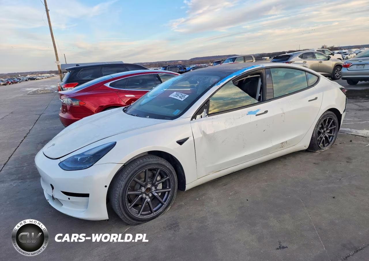 2021 Tesla Model 3