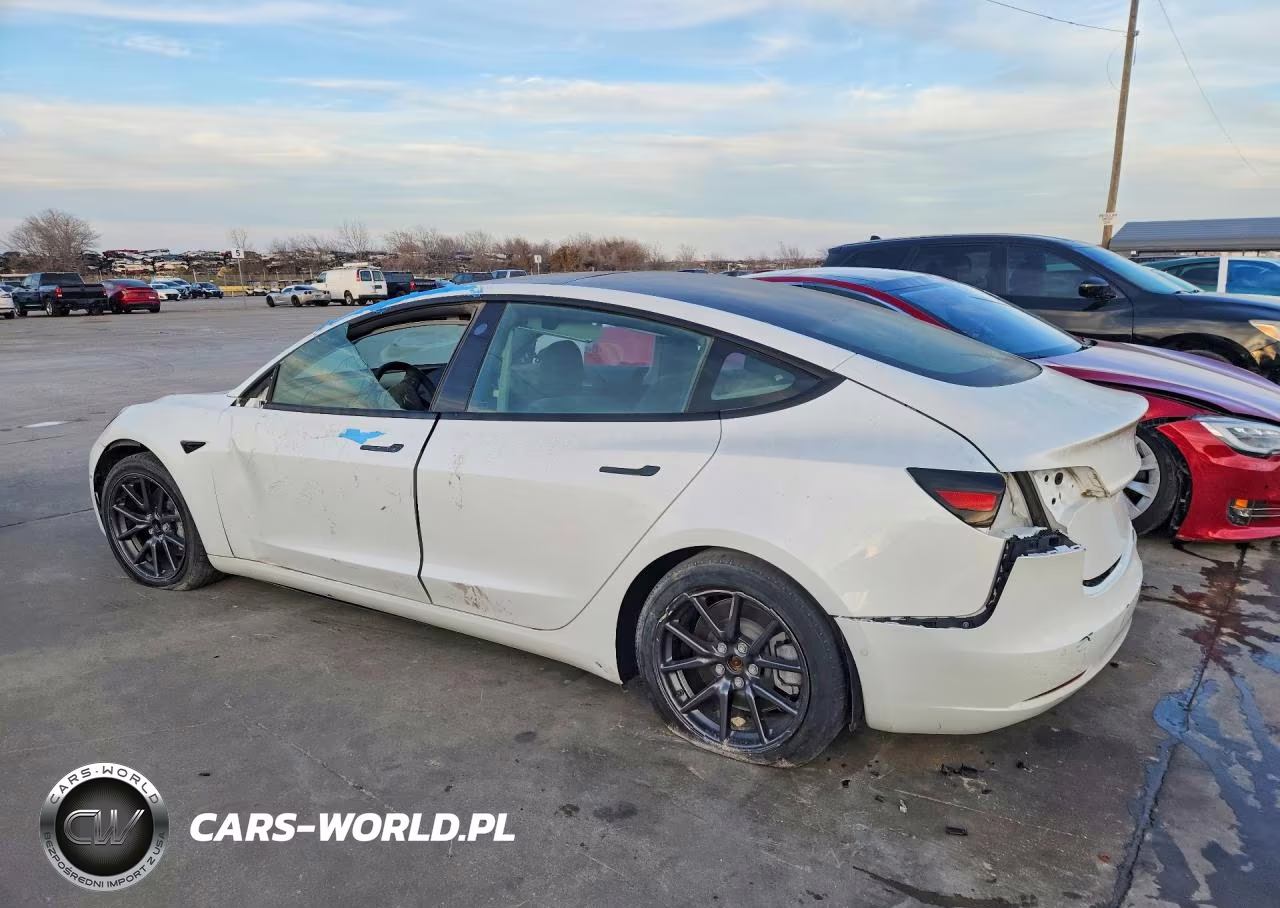 2021 Tesla Model 3 VIN:5YJ3E1EA1MF996096 - 2