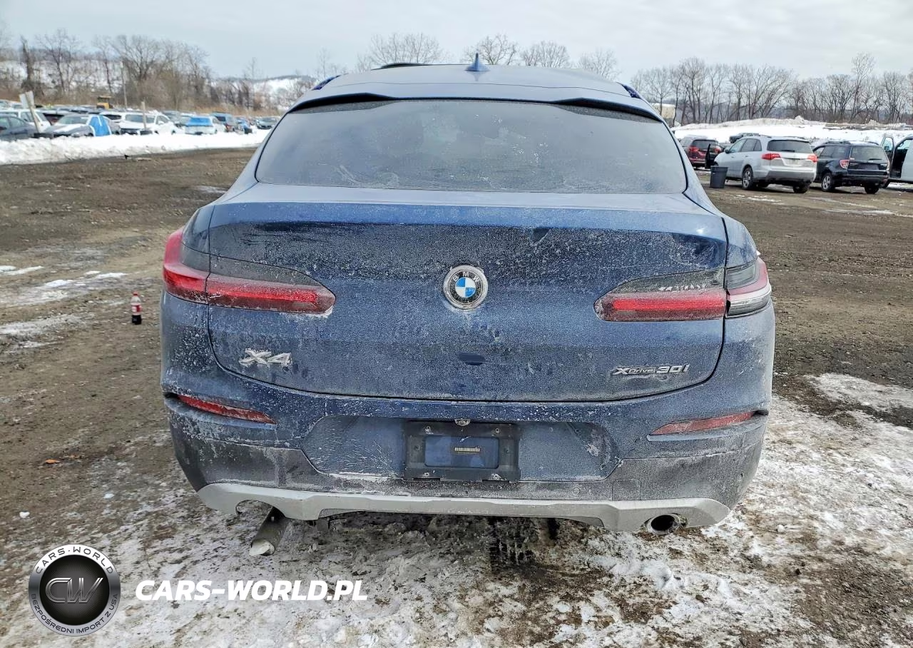 2019 BMW X4 xDrive30I VIN:5UXUJ3C58KLA58738 - 6