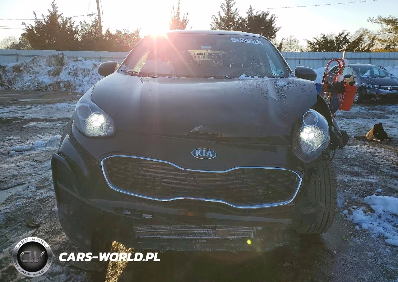 2020 Kia Sportage Lx VIN:KNDPM3AC5L7785057 - 5