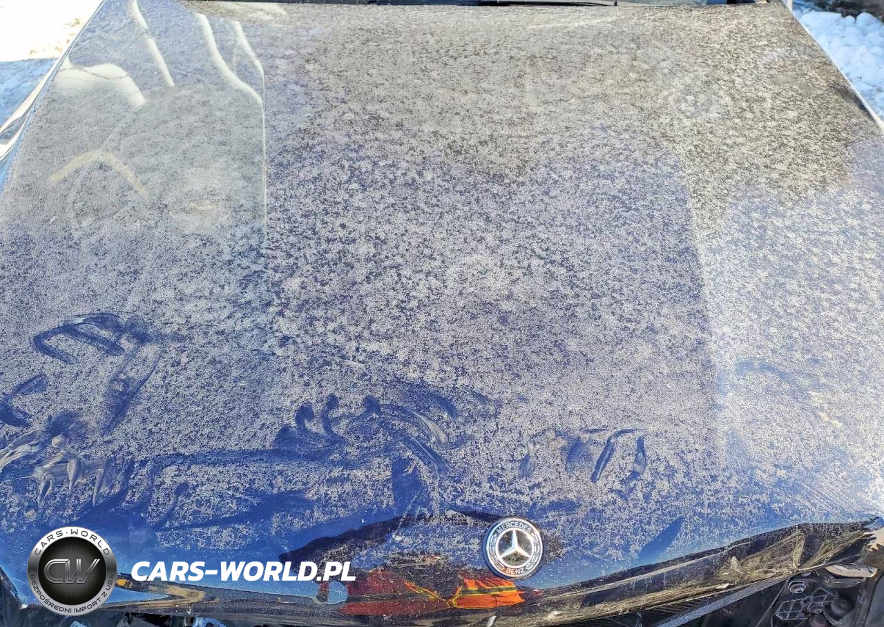2019 Mercedes-Benz Glc 300 4Matic VIN:WDC0G4KB3KF645091 - 12