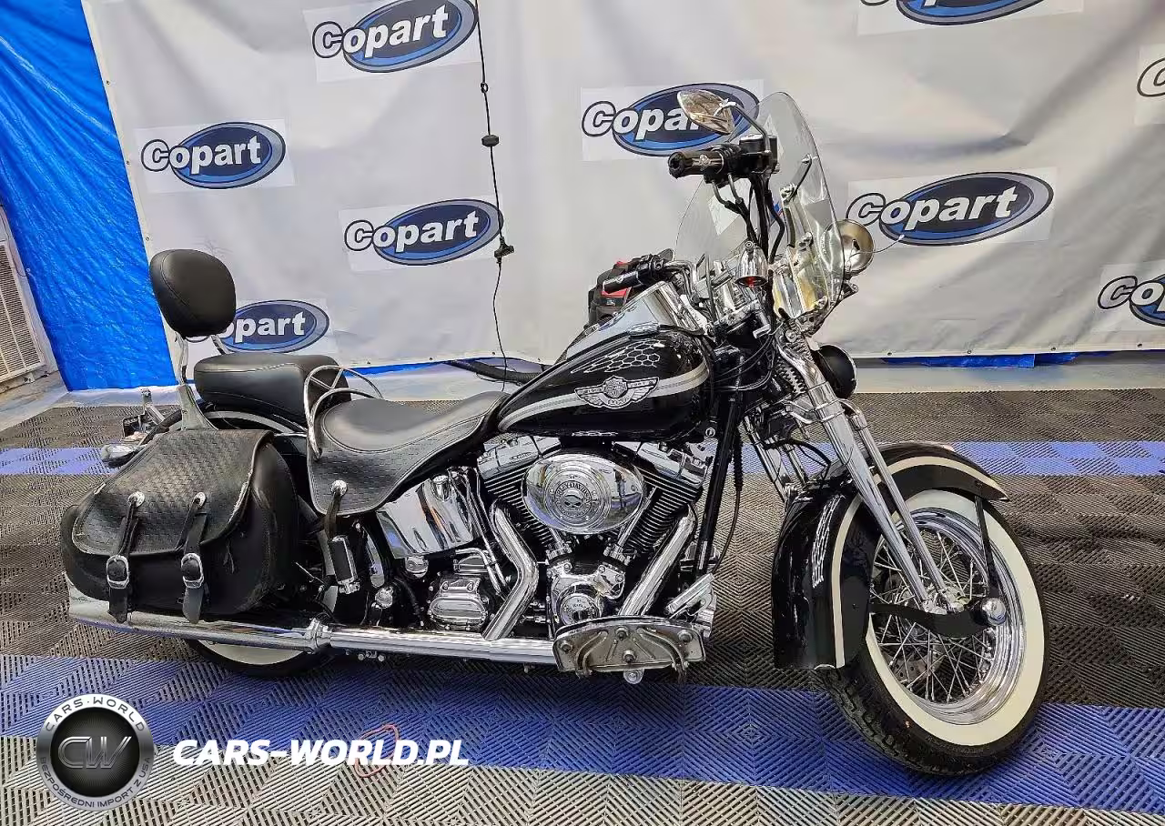 2003 Harley-Davidson Flstsi