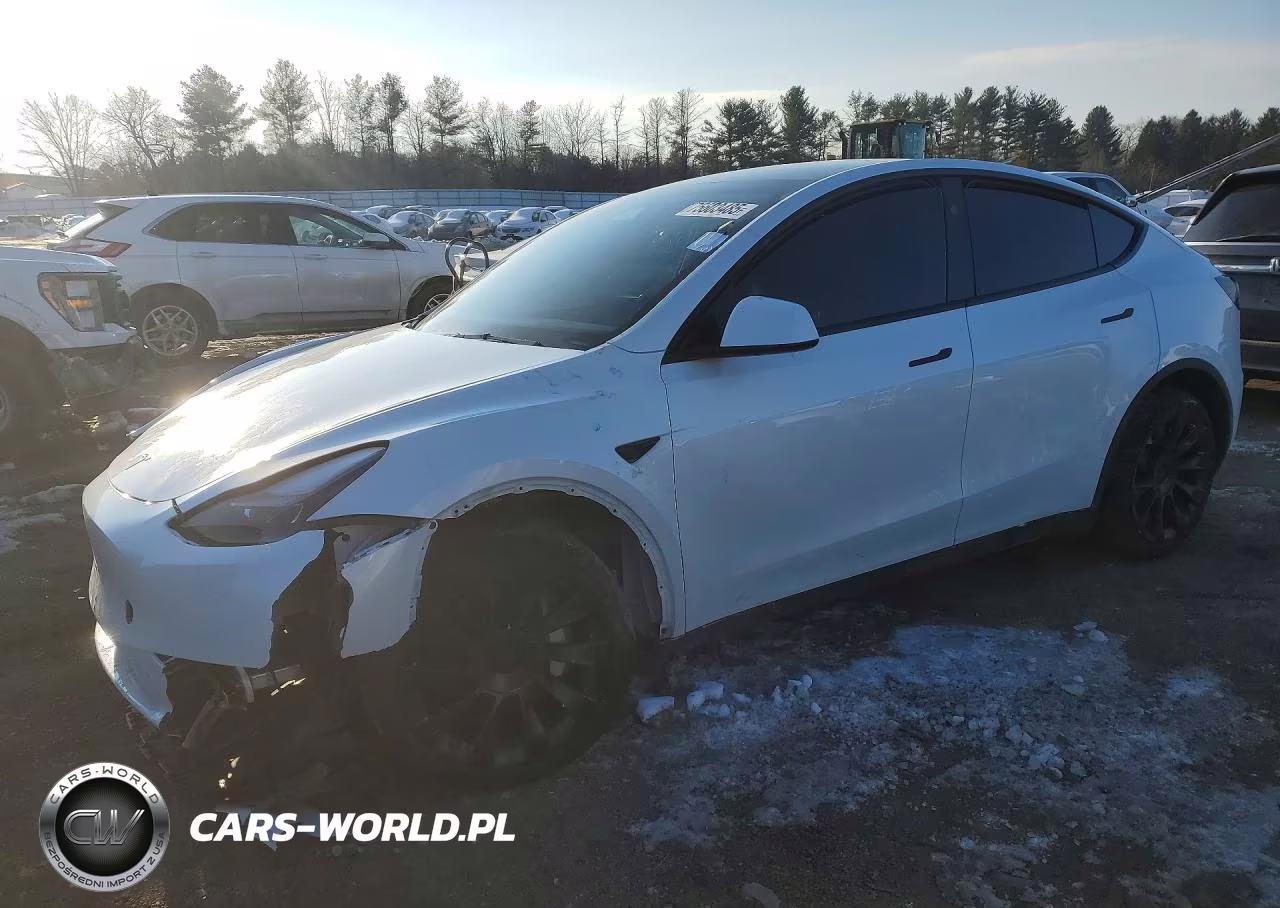 2024 Tesla Model Y