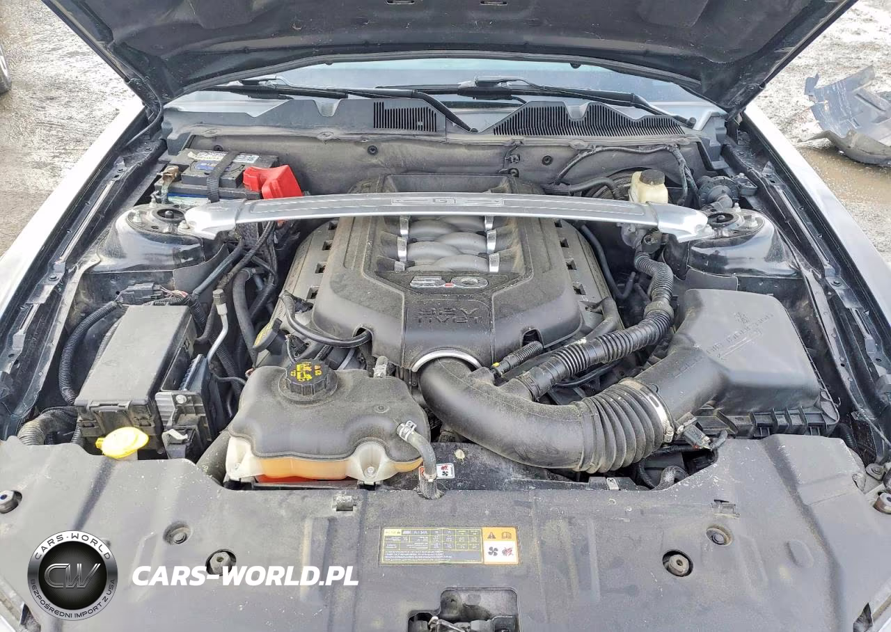 2014 Ford Mustang Gt VIN:1ZVBP8FF4E5273531 - 11