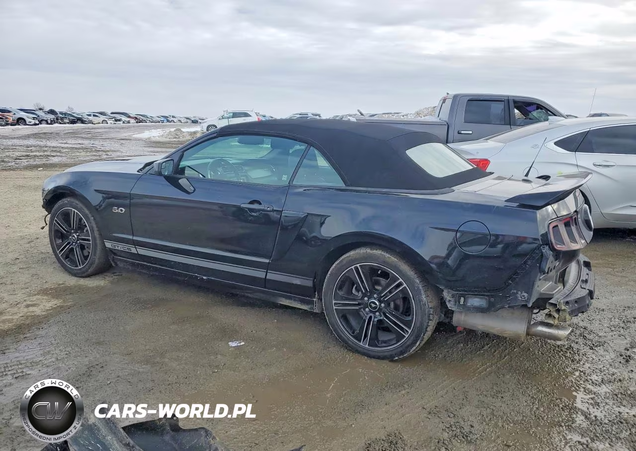 2014 Ford Mustang Gt VIN:1ZVBP8FF4E5273531 - 2