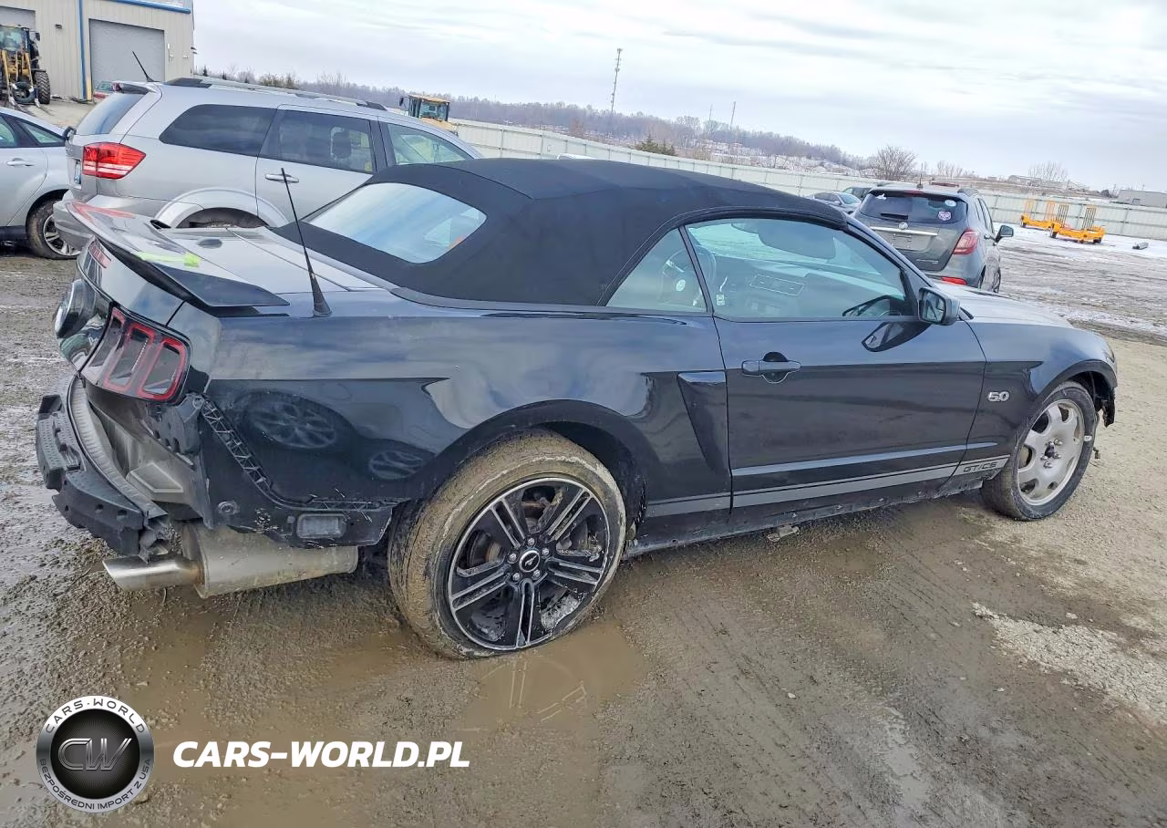 2014 Ford Mustang Gt VIN:1ZVBP8FF4E5273531 - 3