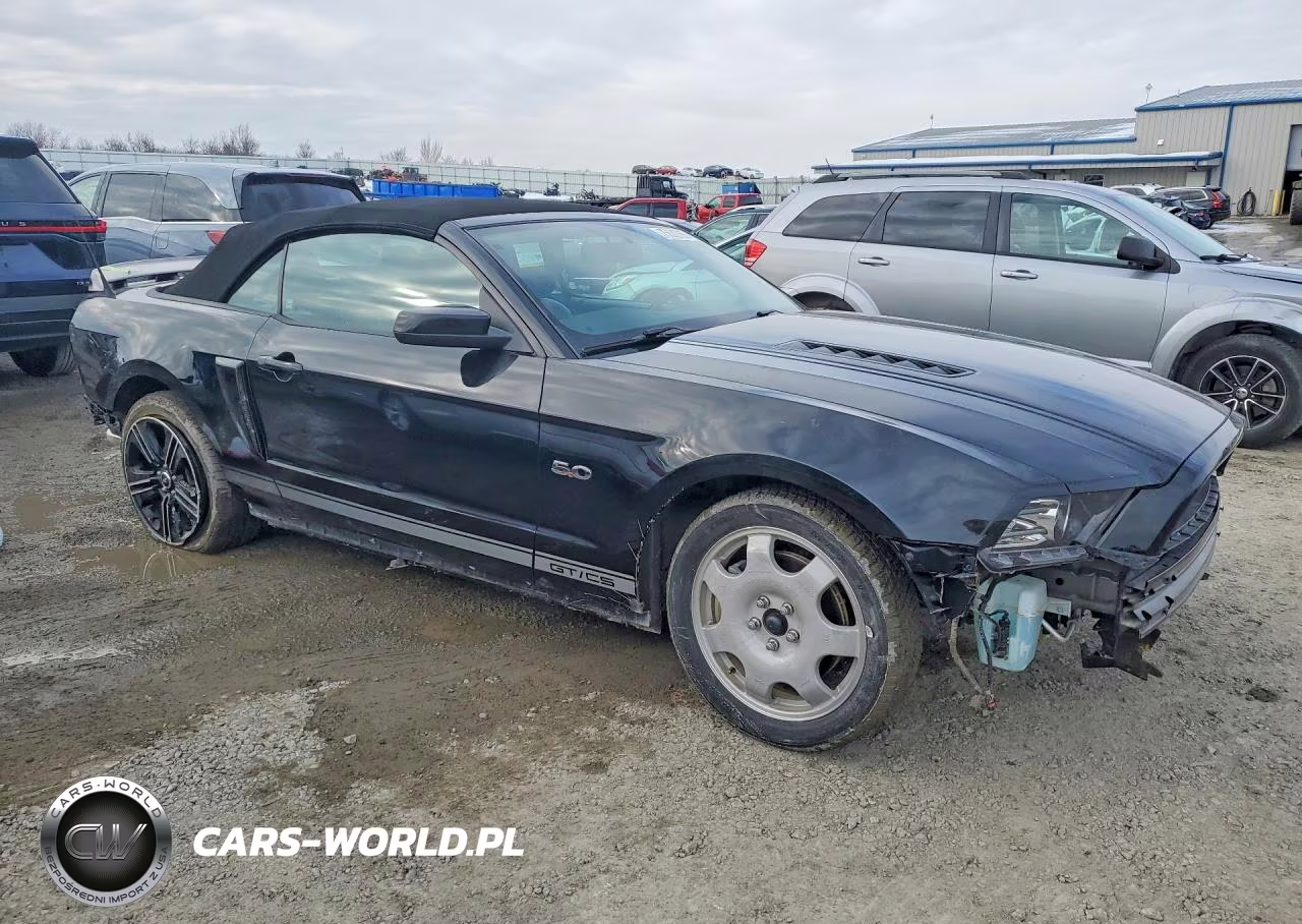 2014 Ford Mustang Gt VIN:1ZVBP8FF4E5273531 - 4