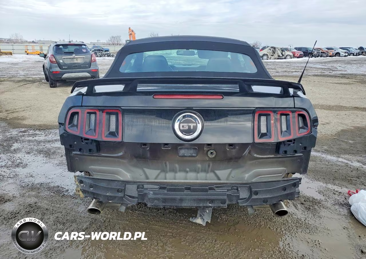 2014 Ford Mustang Gt VIN:1ZVBP8FF4E5273531 - 6