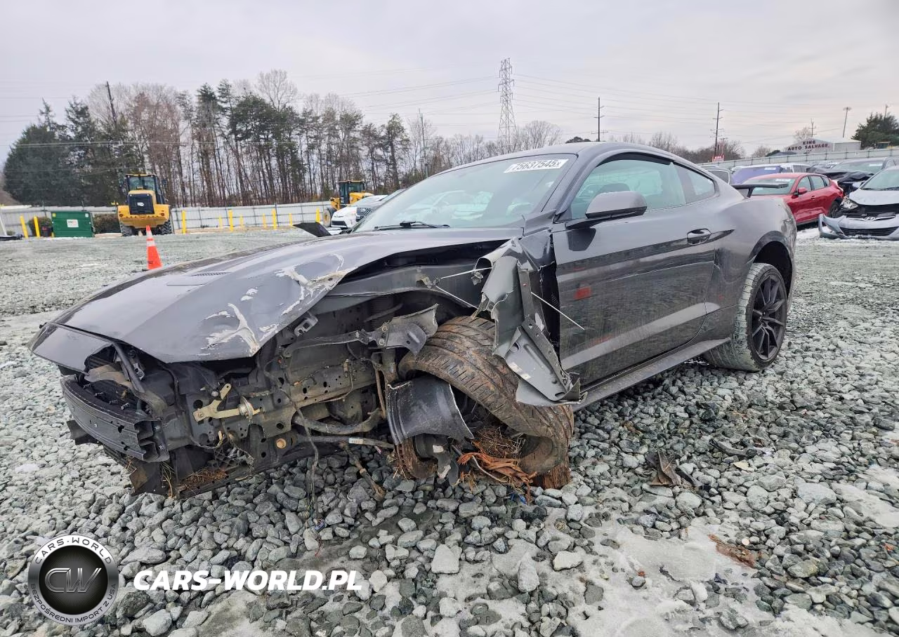 2019 Ford Mustang