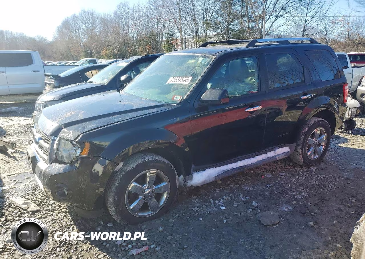 2009 Ford Escape Limited