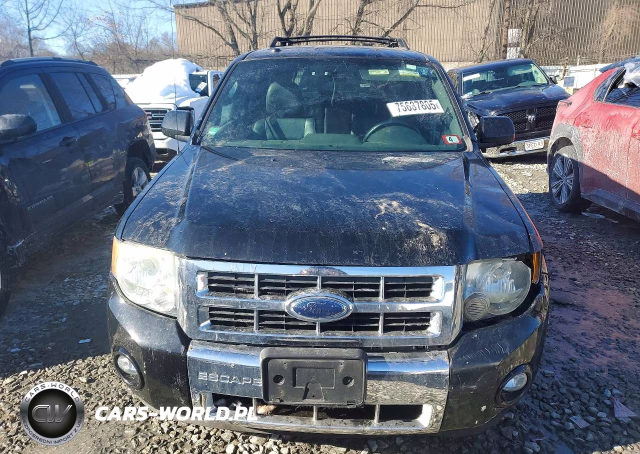 2009 Ford Escape Limited VIN:1FMCU04G49KB26027 - 5