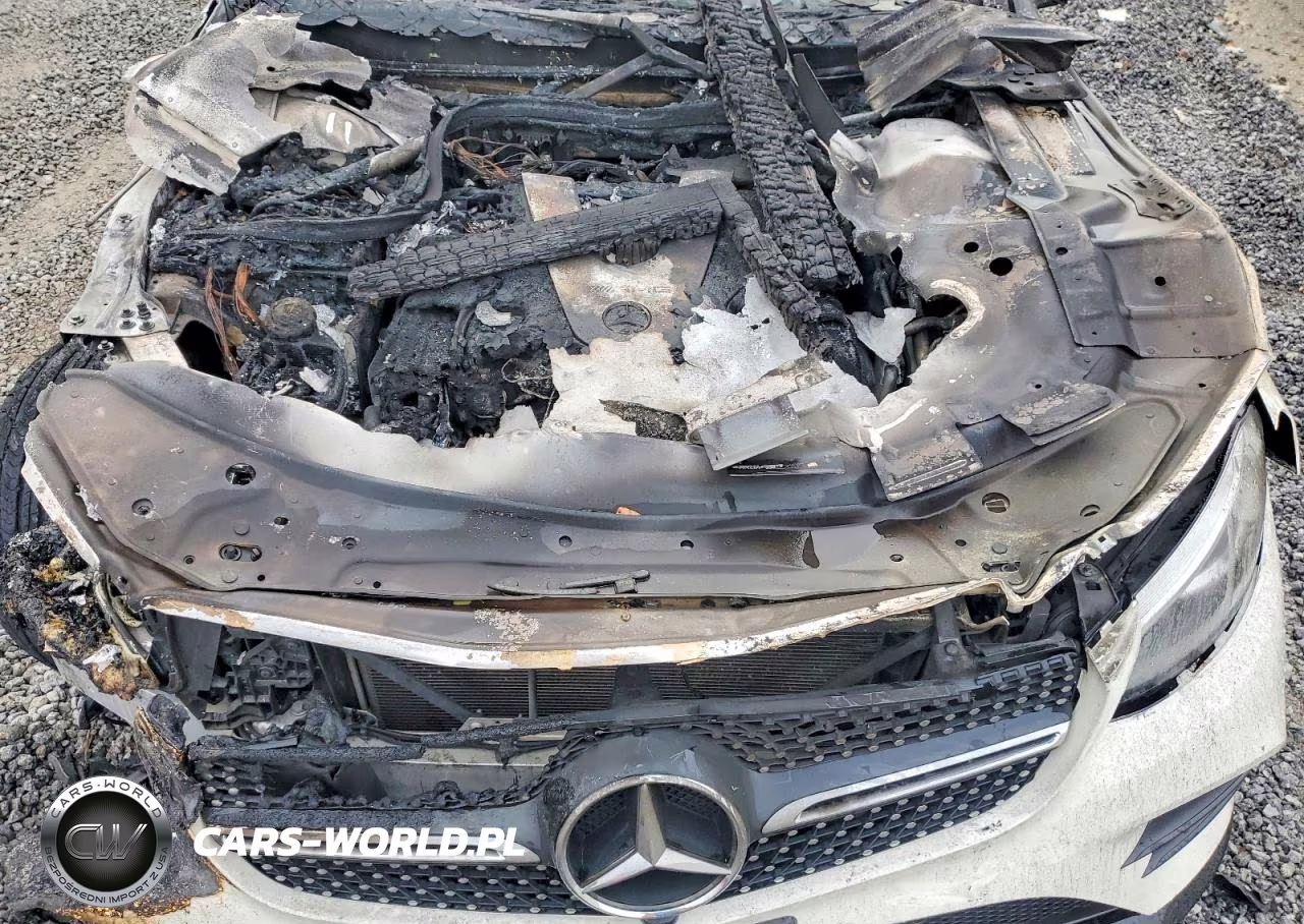 2018 Mercedes-Benz Glc Coupe 43 4Matic Amg VIN:WDC0J6EB2JF381787 - 11