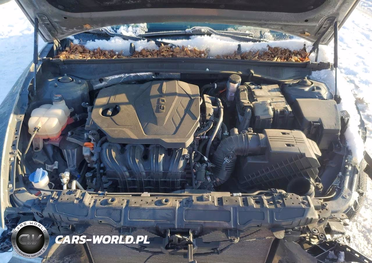 2021 Hyundai Sonata Se VIN:5NPEG4JA8MH114806 - 11