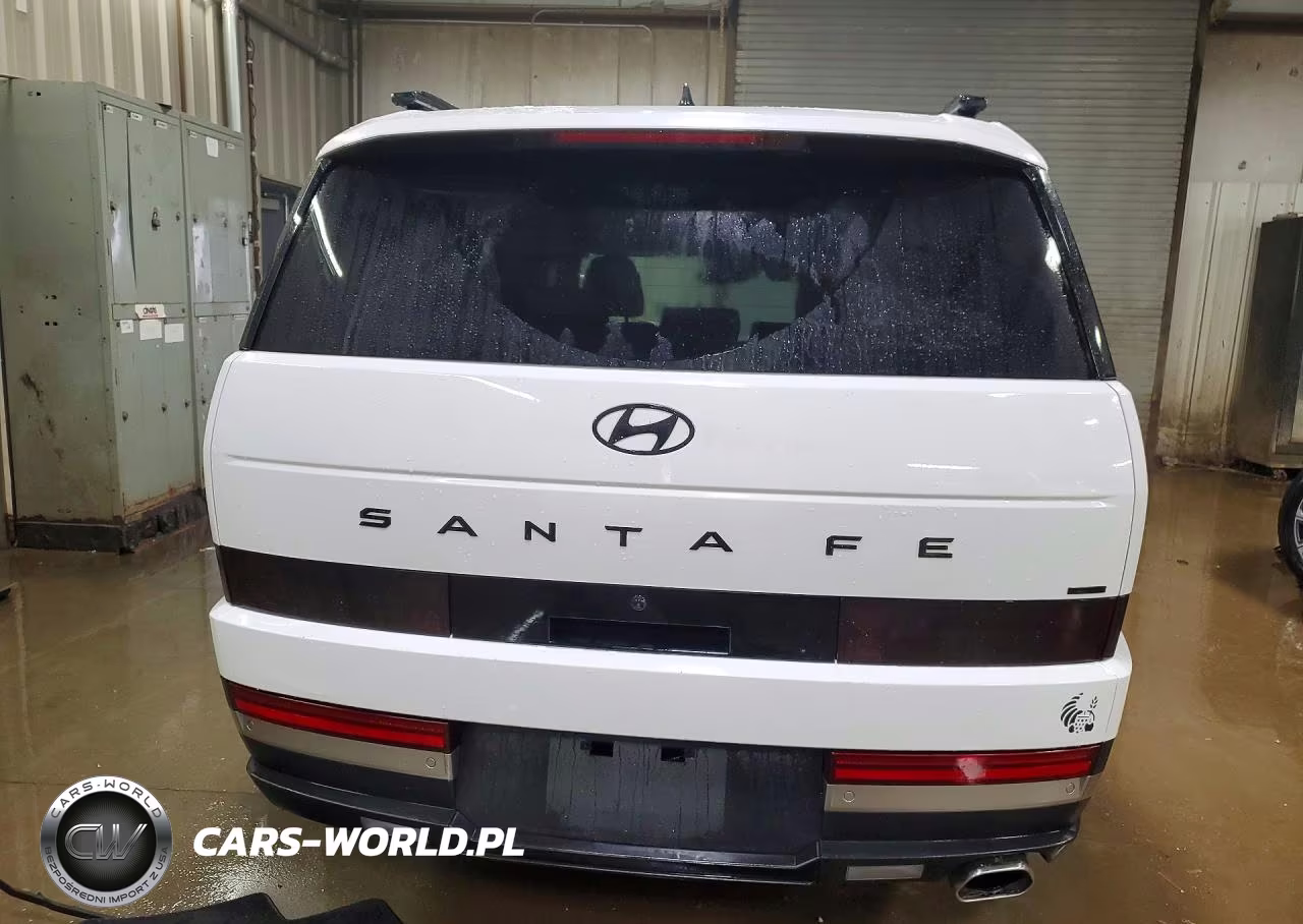 2024 Hyundai Santa Fe Limited VIN:5NMP4DGL2RH058912 - 6