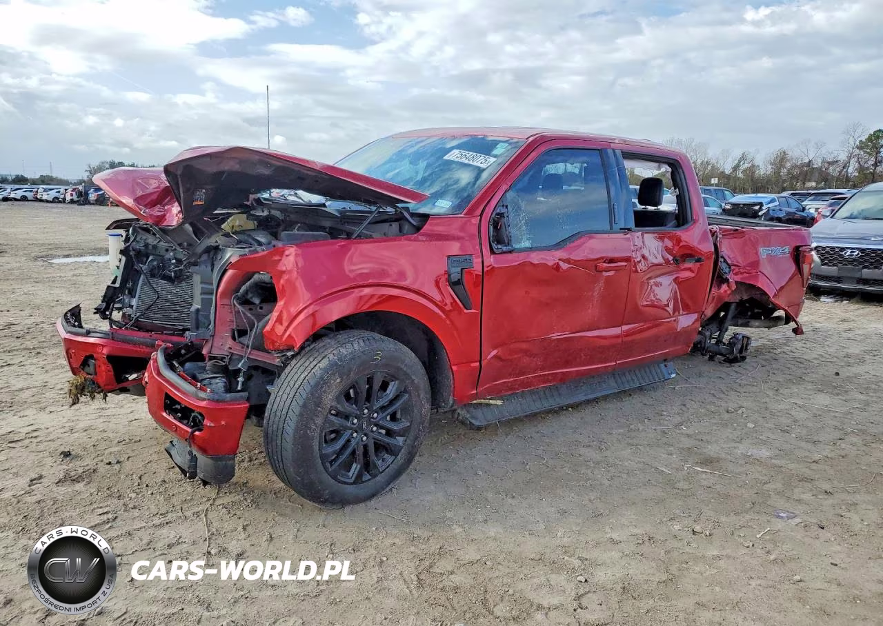 2024 Ford F150 Xlt