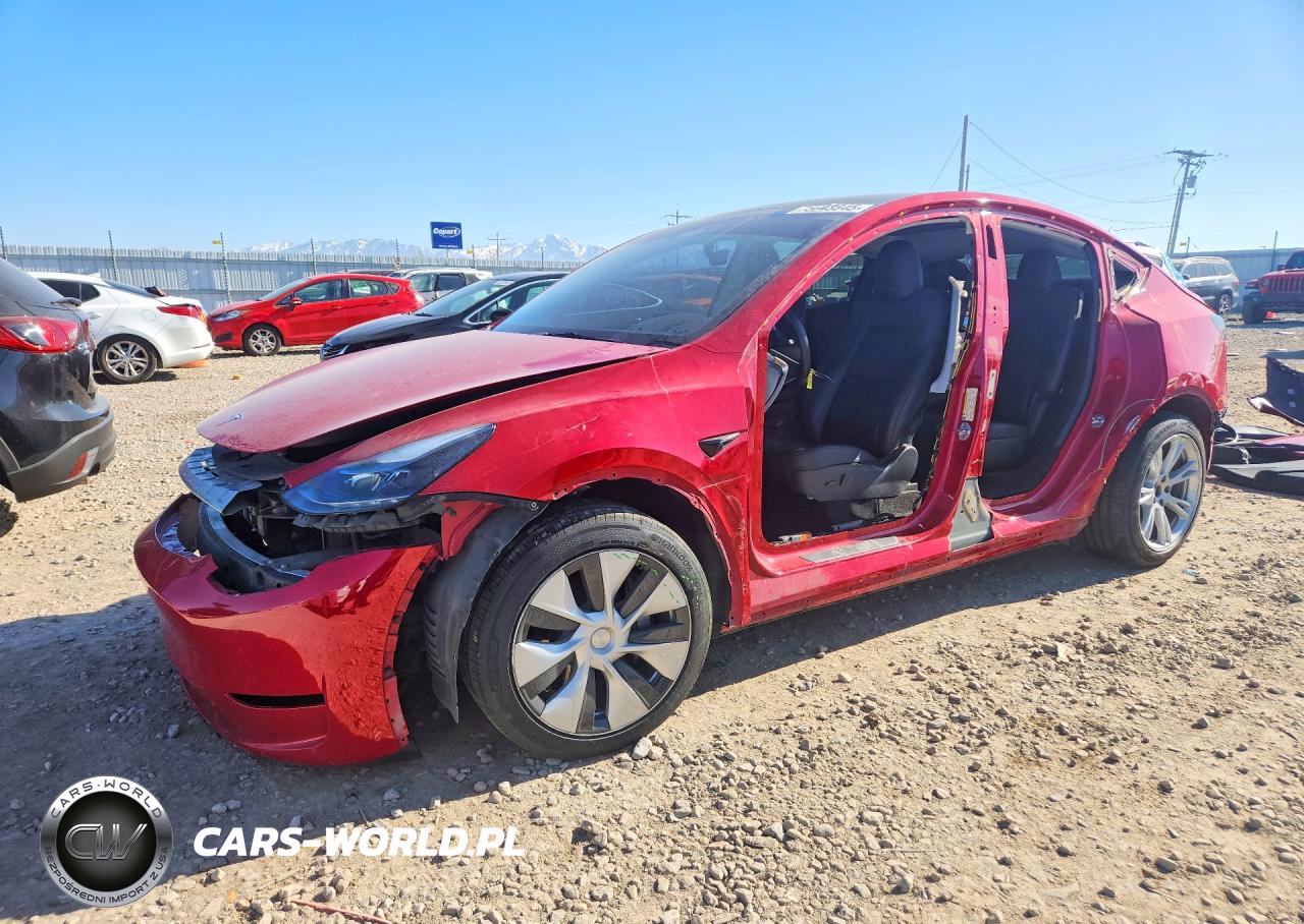 2023 Tesla Model Y