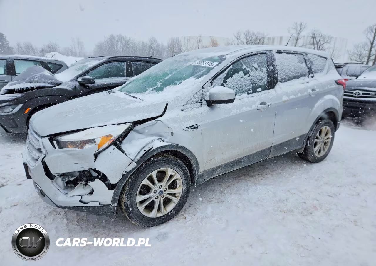 2019 Ford Escape Se
