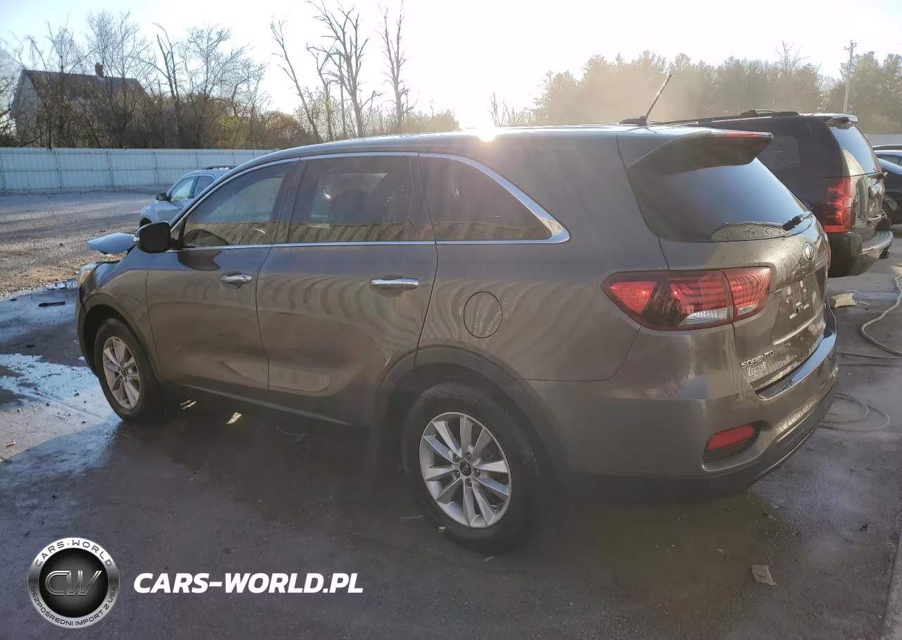 2019 Kia Sorento Lx VIN:5XYPG4A3XKG545372 - 2