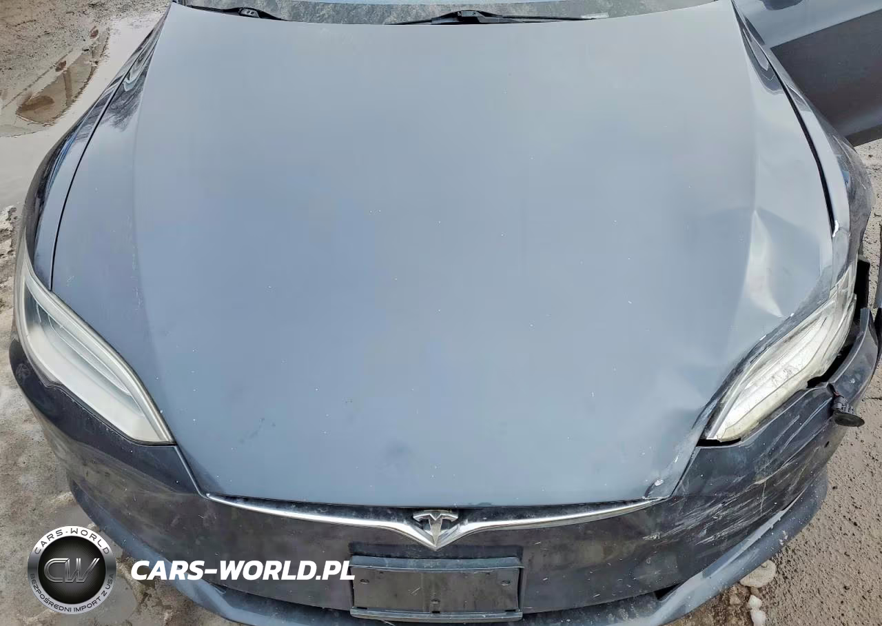2016 Tesla Model S VIN:5YJSA1E29GF155373 - 11