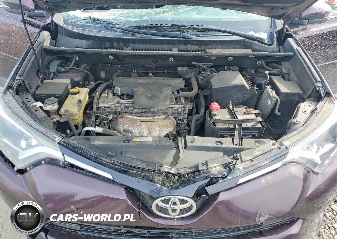 2016 Toyota Rav4 Xle VIN:2T3RFREV4GW528807 - 12
