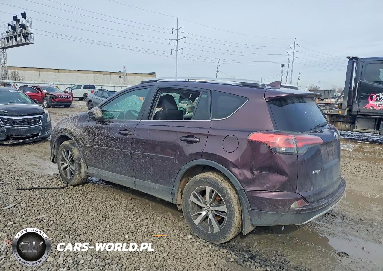 2016 Toyota Rav4 Xle VIN:2T3RFREV4GW528807 - 2