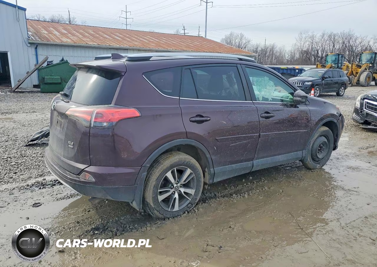 2016 Toyota Rav4 Xle VIN:2T3RFREV4GW528807 - 3