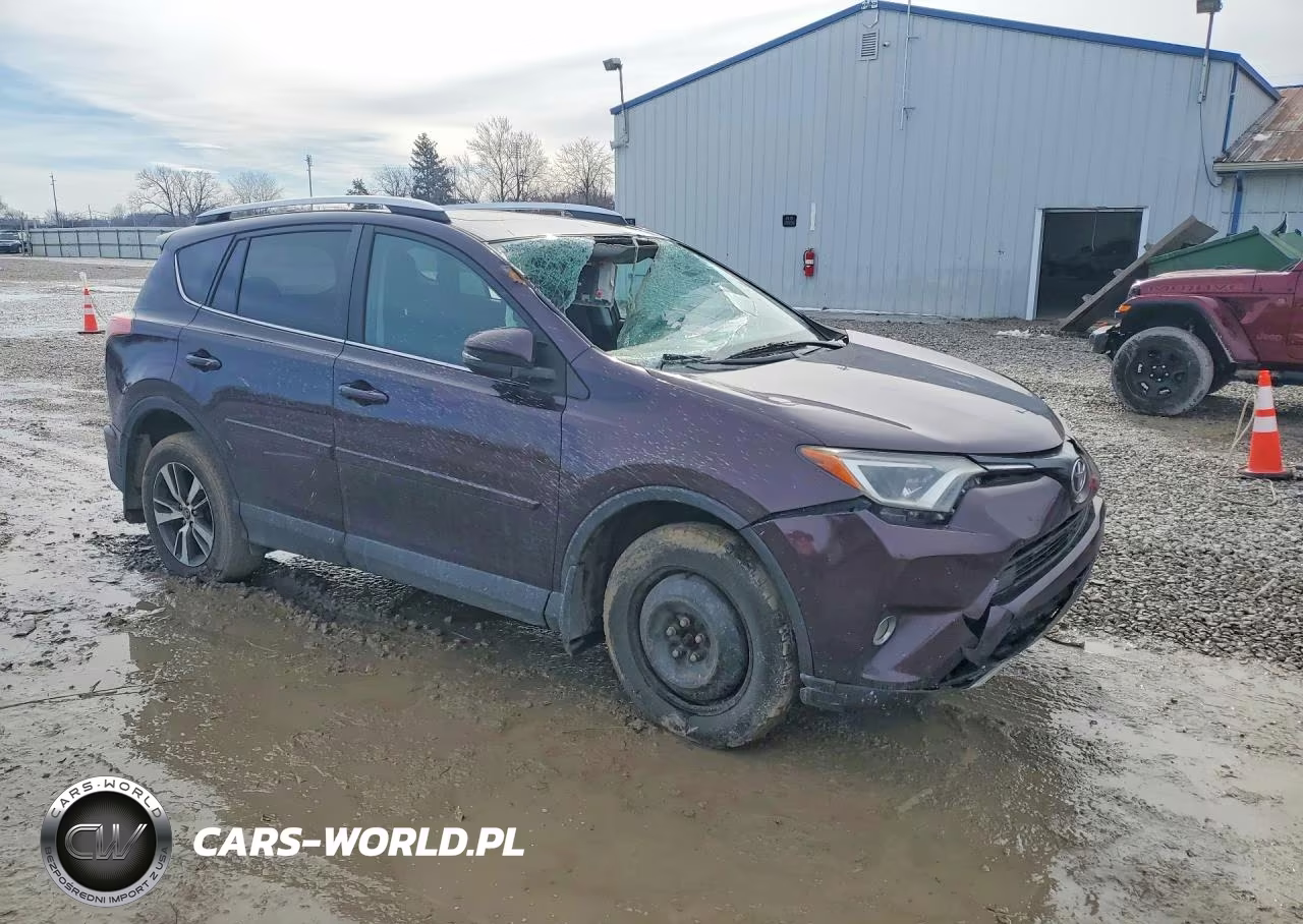 2016 Toyota Rav4 Xle VIN:2T3RFREV4GW528807 - 4