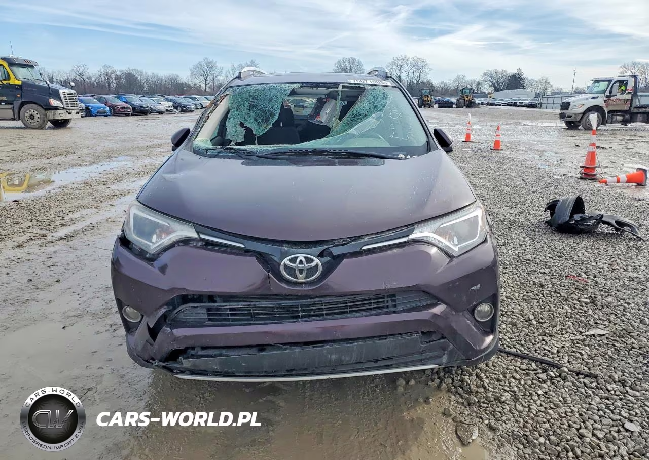 2016 Toyota Rav4 Xle VIN:2T3RFREV4GW528807 - 5