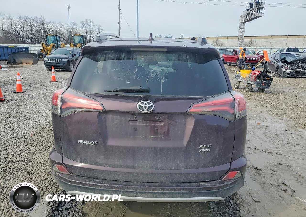 2016 Toyota Rav4 Xle VIN:2T3RFREV4GW528807 - 6