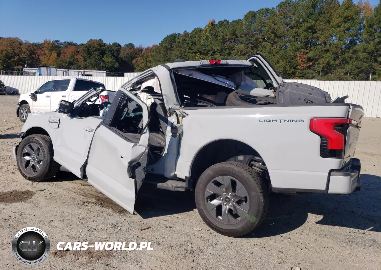 2023 Ford F150 Lightning Pro VIN:1FTVW1EL2PWG25343 - 2