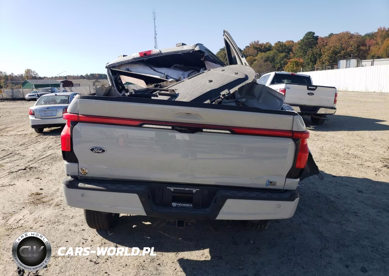2023 Ford F150 Lightning Pro VIN:1FTVW1EL2PWG25343 - 6