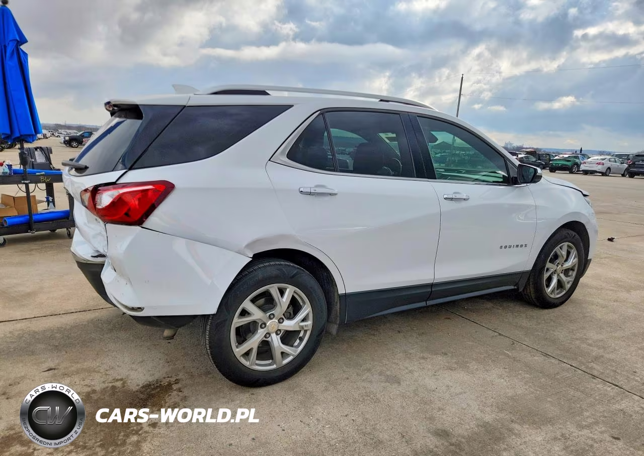 2019 Chevrolet Equinox VIN:2GNAXNEV0K6246632 - 3