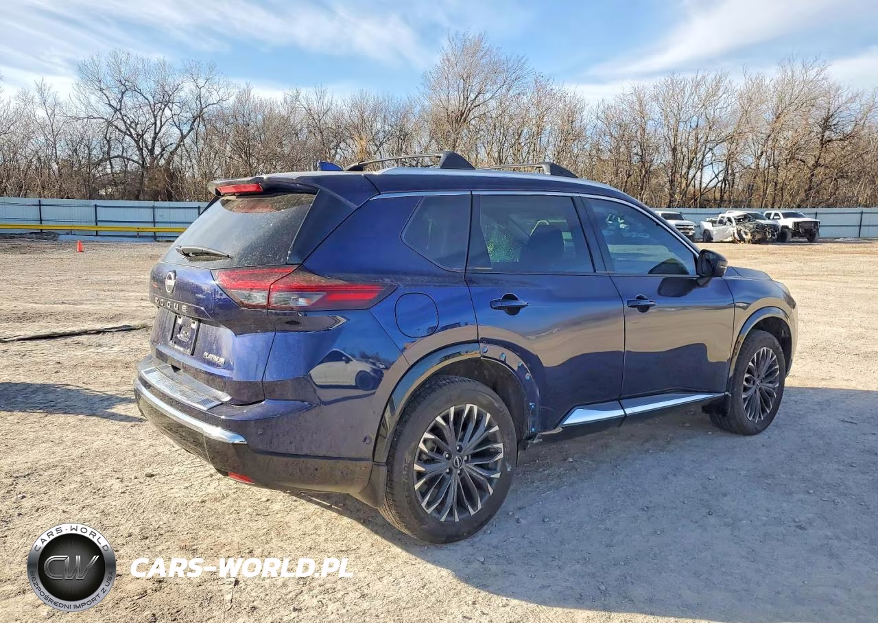 2025 Nissan Rogue Platinum VIN:JN8BT3DC7SW101286 - 3