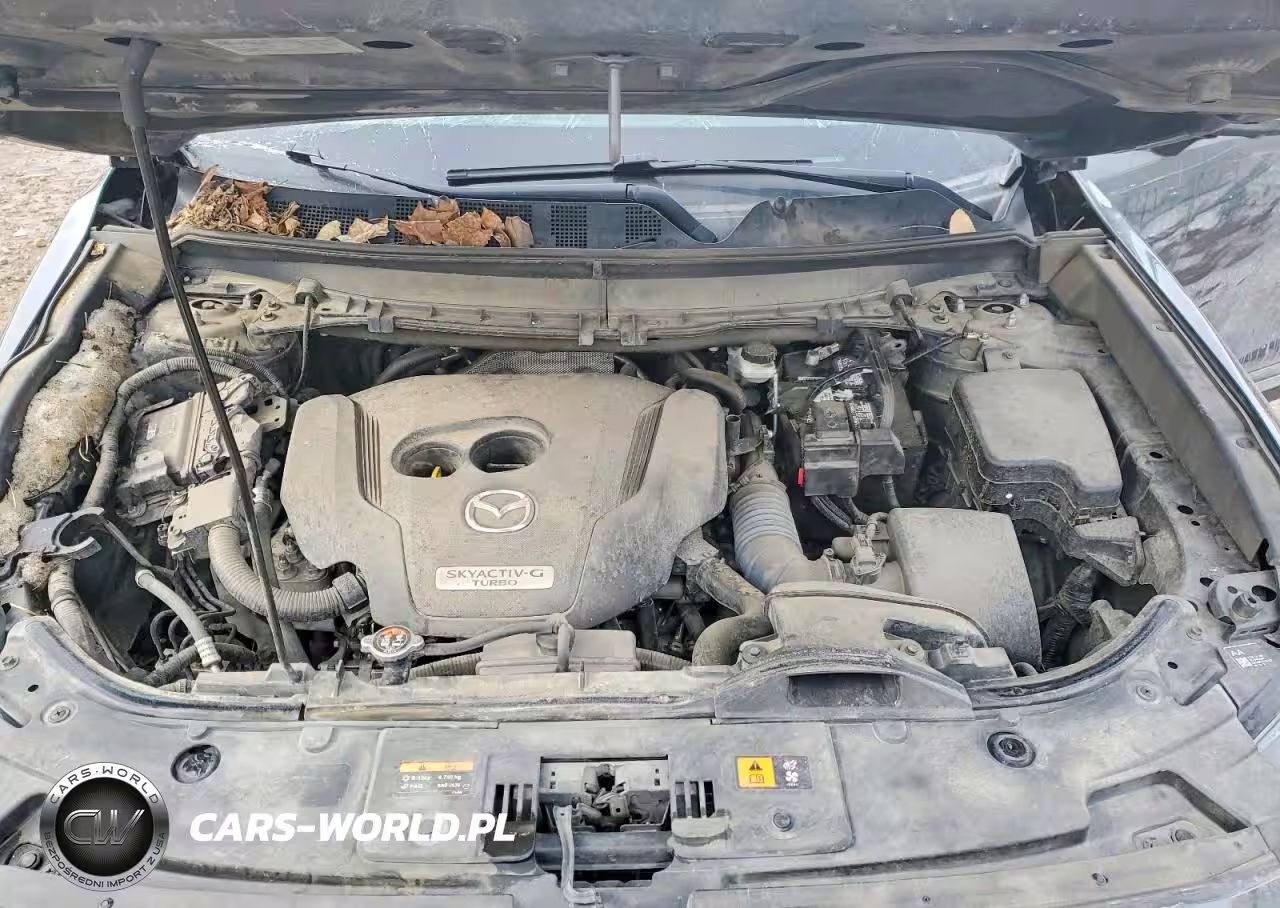 2021 Mazda Cx-9 Grand Touring VIN:JM3TCBDY7M0541477 - 12