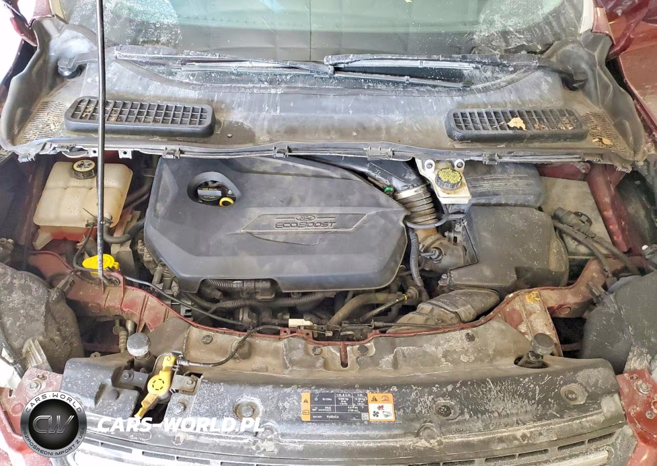 2014 Ford Escape Se VIN:1FMCU0GX7EUE13226 - 12